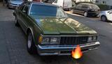 Chevrolet Caprice 1979- 173PS -LPG - Tüv:0... - Chevrolet Caprice von privat