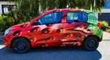Suzuki Celerio Club 1.0 mit Graffiti  Lack... - Suzuki Celerio von privat