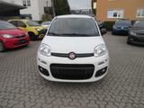 Fiat Panda 1.2 Easy *Sehr gepflegt* - Fiat Panda: 1.2