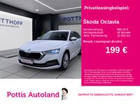 Skoda Octavia - Vorschau Bild 1