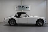 MGA Roadster - MG MGA Gebrauchtwagen