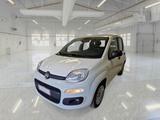 Fiat FIAT PANDA 1.2 69 CV E6 EASY 5 PORTE BERLINA - Fiat: Berlina