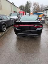 Dodge Charger - Dodge Charger Gebrauchtwagen