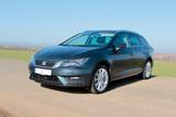 Seat Leon 2.0 TDI 110kW Xcellence Sportstourer Xc...