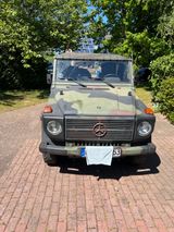 Mercedes-Benz G 250 GD - Mercedes-Benz G 250: Gd