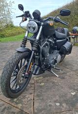 Harley-Davidson Sportster Iron XL 883 N / Nur 3.600 TKM - Harley-Davidson Sportster Iron 883