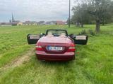 Mercedes-Benz Mercedes clk350 LPG - Mercedes-Benz mit LPG-Antrieb: Cabrio