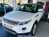 Land Rover Range Rover Evoque Prestige *AUTOMATIK* - Land Rover Range Rover Evoque: Prestige