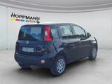 Fiat Panda 1.0 Mild-Hybrid *Klima*PDC*5sitzer* - Fiat Panda: Sitzer