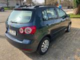 Volkswagen Golf Plus 2.0 TDI DSG Comfortline Comfortline - Volkswagen Golf Plus Comfortline mit Diesel-Antrieb
