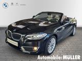 BMW 220 i Cabrio Navi Leder Soundsystem Bi-Xenon Kli - schwarze BMW 220