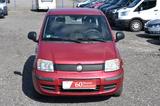 Fiat Panda 1.2 8V MyLive*Klima - Fiat Panda: My