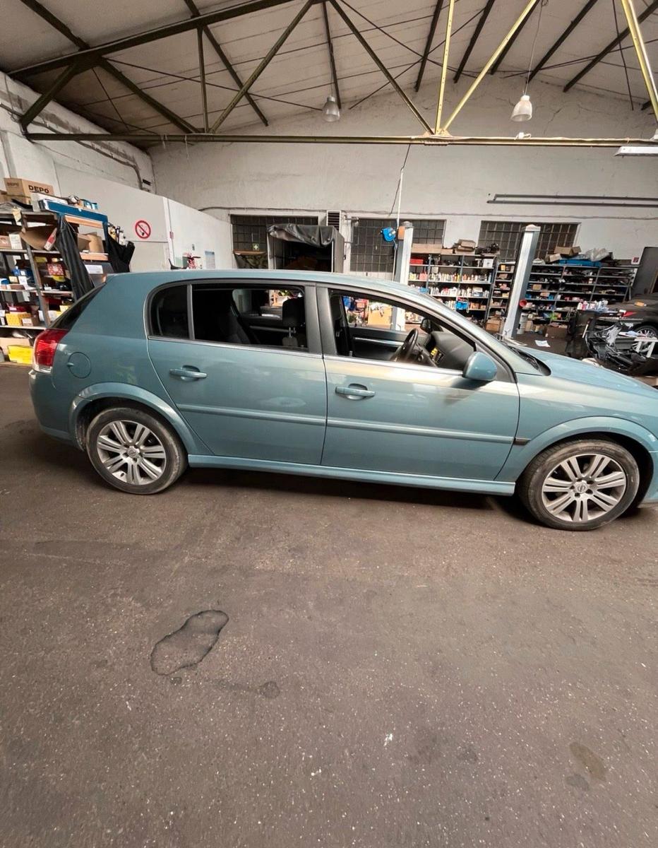 Opel Signum 2005 — rear view