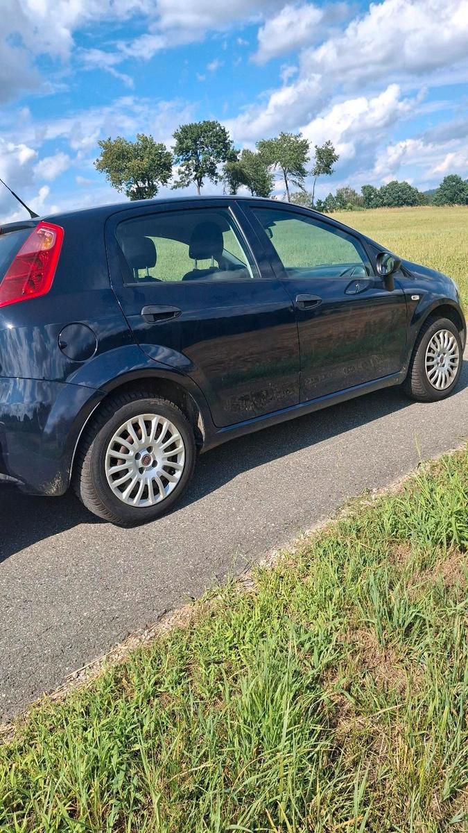 Fiat Punto 2009 — rear view
