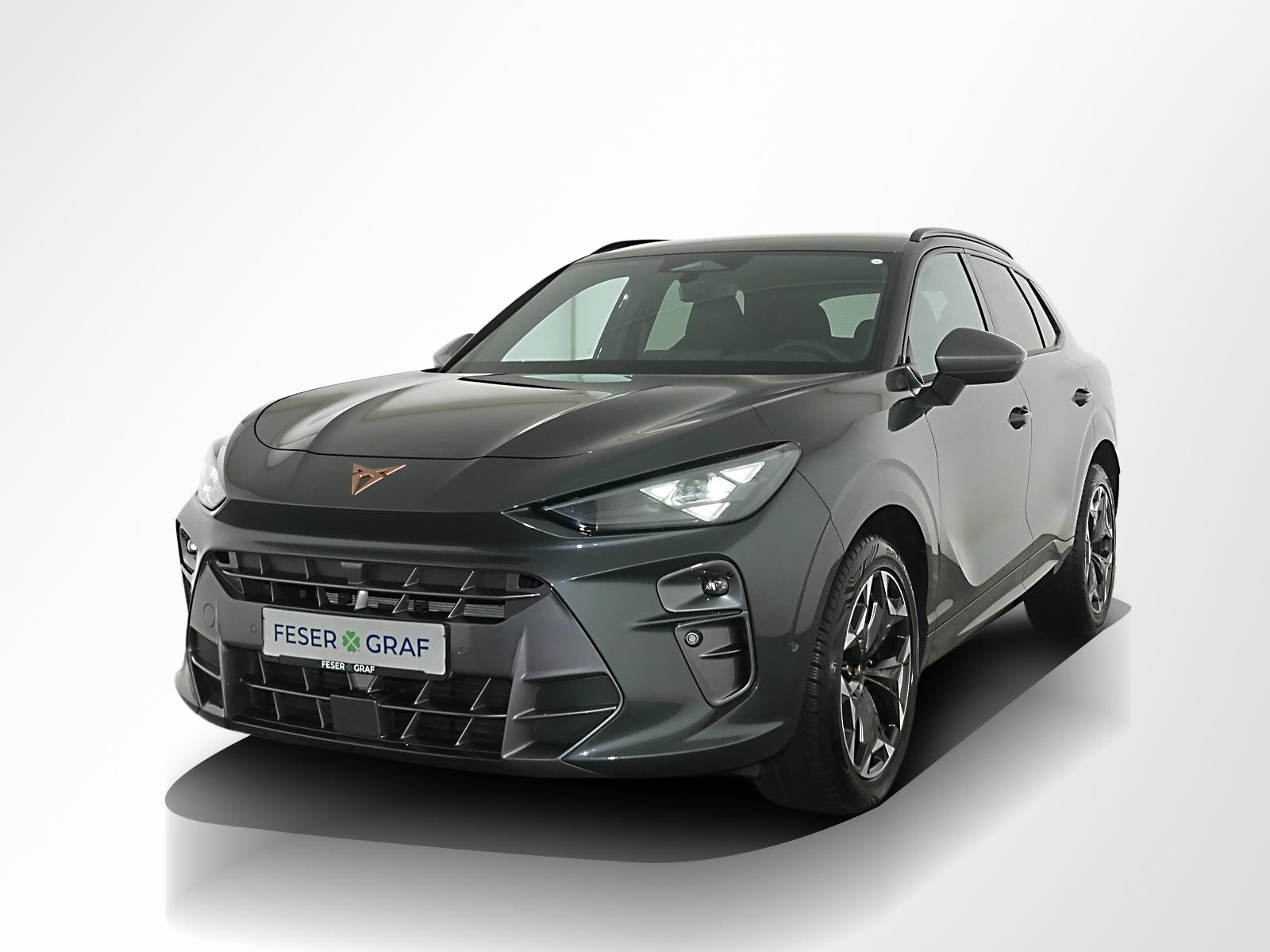 Cupra Terramar VZ 2.0 TSI 4x4 DSG Intellig.Dr.+Dig.Dr., миниатюра 17
