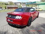 Ford Mustang 5.0 Ti-VCT V8 GT, Unfallfrei,Scheckheft, - Ford Mustang mit Benzin-Antrieb: Cabrio, 5.0