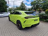 Lamborghini Urus NOVITEC ESTESO - Carbon Edition - Lamborghini Urus aus 2022