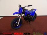 Yamaha PW 50 MODELL 2025 LIEFERBAR - KLEINKRAFTRAD VON 1 BIS 50 CCM