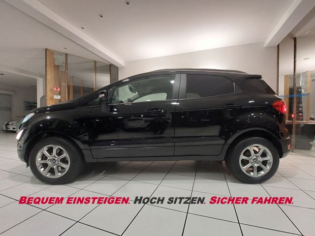 Ford 100 % SICHER FAHREN = HOCH SITZEN. + WINTERPAKET