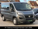 Fiat Ducato Luxusbus Panorama AUTOMATIK 8-Sitzer *AHK - Fiat Ducato: 8d