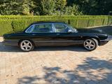Jaguar Daimler Super V8 Langversion - Jaguar Daimler aus 2001