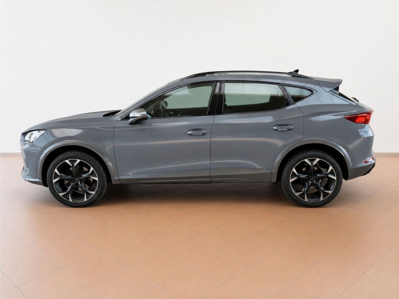 Cupra Formentor 2.0 TDI 4Drive DSG imagem 2