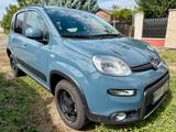 Fiat Panda Wild 4x4 - Fiat Panda Gebrauchtwagen in Stuttgart
