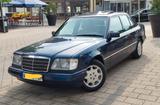 Mercedes-Benz E 250 D, Zust. 1-2, neues H-Kz., wenig Km