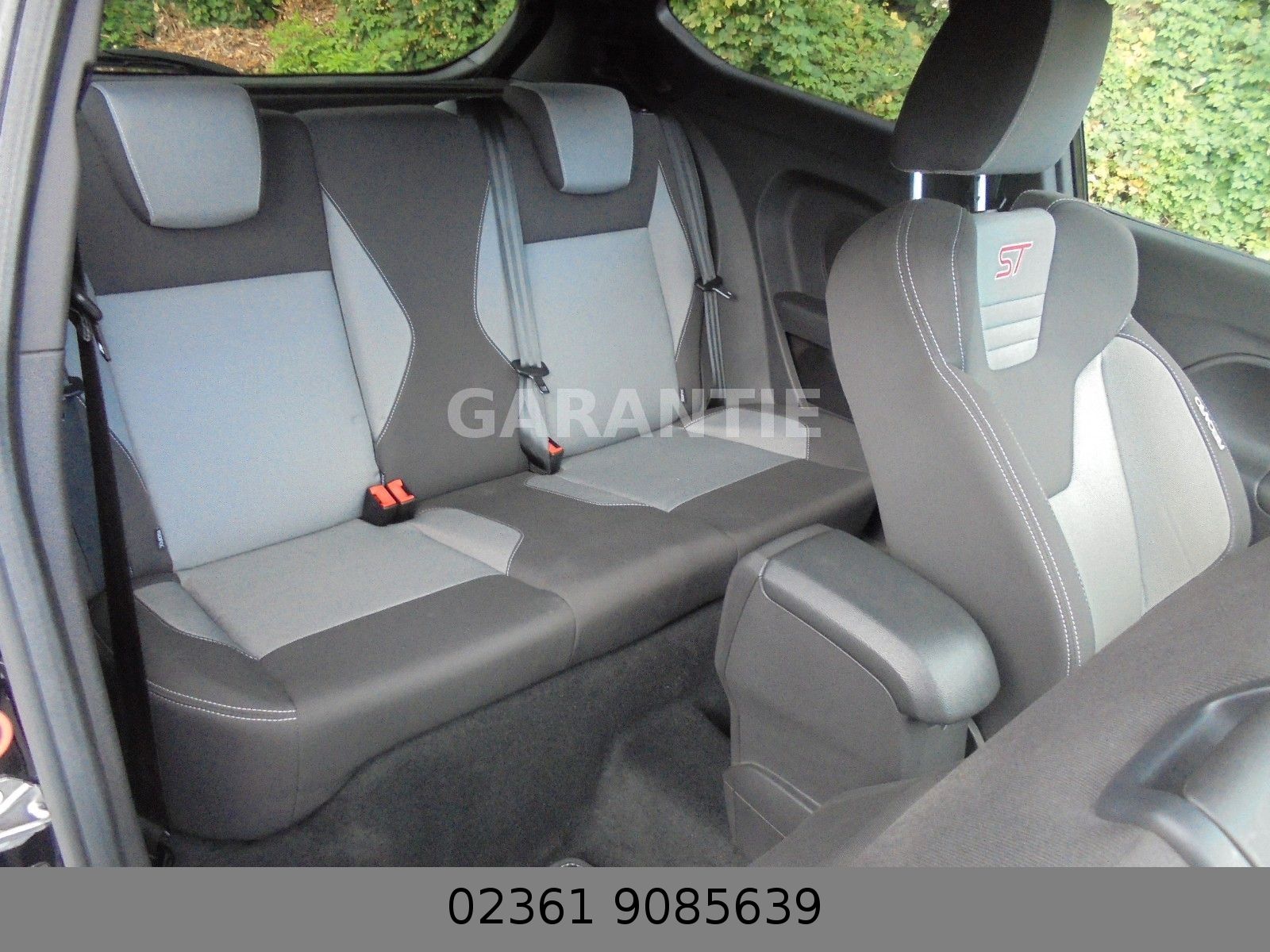 Fahrzeugabbildung Ford Fiesta ST Mega Optik