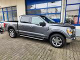 Ford F 150 3.5 XLT Powerboost XTR 4X4 CarPlay Kam. - Ford F 150: Xl