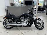Harley-Davidson V-Rod Muscle VRSCF.  * PORSCHE * - HARLEY-DAVIDSON V ROD MUSCLE VRSCF