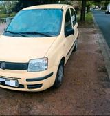 Fiat fiat panda 1.2 - Fiat Panda Gebrauchtwagen in Braunschweig