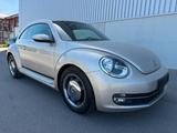 Volkswagen VW Beetle 1.6 TDI CUP NAVI/SHZ/KLIMA/TEMP - Volkswagen Beetle CUP mit Diesel-Antrieb