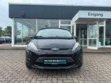 Ford Fiesta Viva PDC Klima - Ford Fiesta: Viva