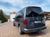 Volkswagen Caddy Maxi - Volkswagen Caddy Maxi in Chemnitz
