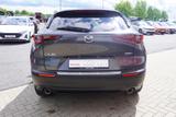 Mazda CX-30 2.0 M-Hybrid LED Navi 360° ACC Bose - Mazda CX-30 mit Hybrid-Antrieb