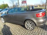 Audi A3 Cabriolet 1.6 TDI  Wartung+Tüv/Au Neu - Audi A3 aus 2011: Cabrio