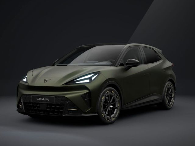 Cupra Andere