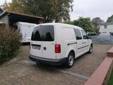 Volkswagen Caddy Maxi 1.4 TGI Benzin/CNG, Sortimo-Ausbau - Sortimo gebraucht