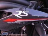 Triumph Speed Triple 1050 RS Mod 2019 Auspuff Kennz.halt - SPEED TRIPLE