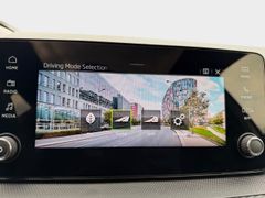 SKODA Fabia Monte Carlo behz.Lenkr PANO LED Kamera PDC