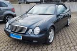 Mercedes-Benz CLK 200 ELEGANCE Elegance - Mercedes-Benz aus 2000: Cabrio, Clk