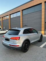 Audi Q5 50 TDI Quattro | Vollausstattung | - Audi Q5: Vollausstattung