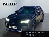 Lexus UX 250h Luxury Line *Matrix*360°*GSD*el Sitze*PD - Lexus UX in Leipzig