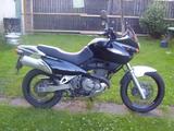 Suzuki XF650 Freewind - Angebote entsprechen deinen Suchkriterien