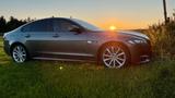Jaguar XF 20d R-Sport AHK, Meridian,Volldigital Cockpit - Jaguar XF: 20d