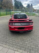 Ford Mustang 350 GT - Ford Mustang: 350gt