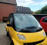 Smart Mcc Smart  Offen - Smart ForTwo: Mcc