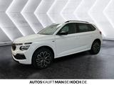 Skoda Kamiq Tour 1.5 TSI DSG KAMERA SHZ TOTWINKEL ACC - Skoda Gebrauchtwagen in Berlin