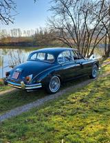 Jaguar Daimler DV 8, sehr gründlich restauriert.  - Jaguar Daimler von privat